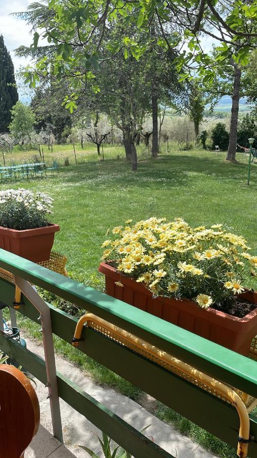 B&B Margherita Montefalco Exterior foto